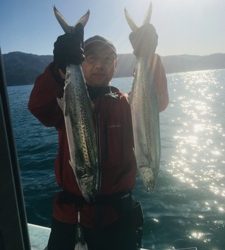 シーモンキー 釣果