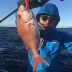 シーモンキー 釣果