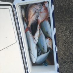 シーモンキー 釣果