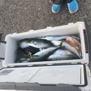 シーモンキー 釣果