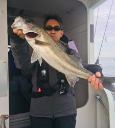 シーモンキー 釣果