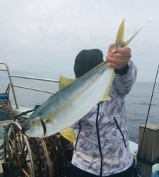 シーモンキー 釣果