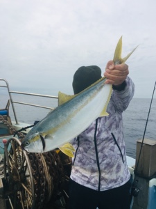 シーモンキー 釣果