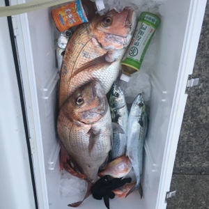 シーモンキー 釣果