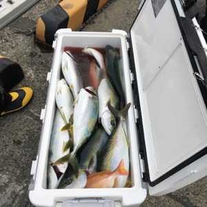 シーモンキー 釣果