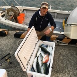 シーモンキー 釣果