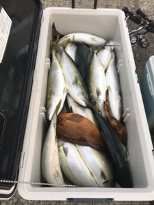 シーモンキー 釣果