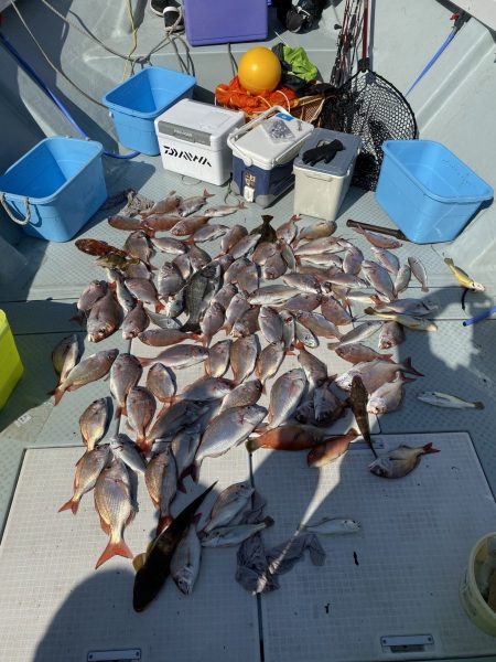 リトルワン 釣果