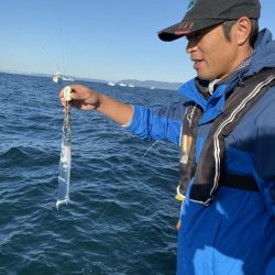 リトルワン 釣果