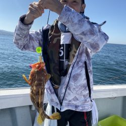 リトルワン 釣果