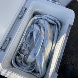 リトルワン 釣果