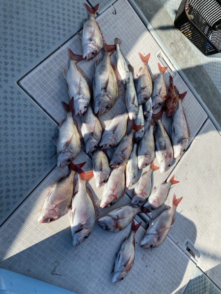 リトルワン 釣果