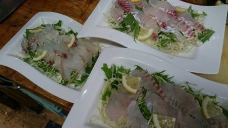 リトルワン 釣果