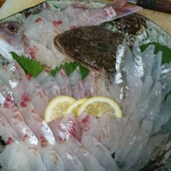 リトルワン 釣果