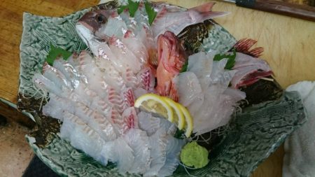 リトルワン 釣果