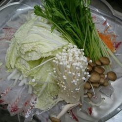 リトルワン 釣果