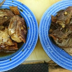 リトルワン 釣果