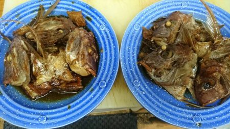 リトルワン 釣果