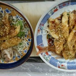 リトルワン 釣果