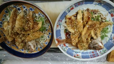 リトルワン 釣果