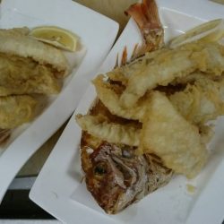 リトルワン 釣果