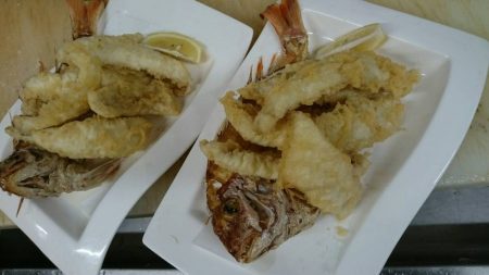 リトルワン 釣果