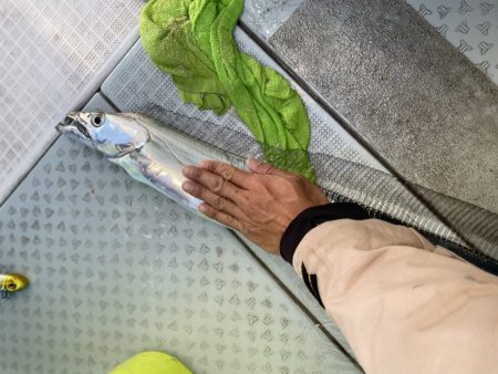 リトルワン 釣果