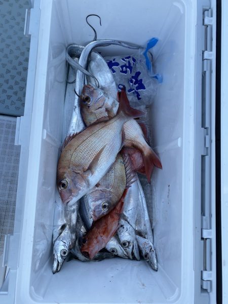 リトルワン 釣果