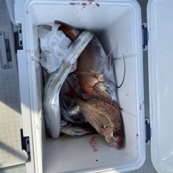 リトルワン 釣果