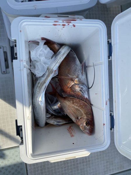 リトルワン 釣果