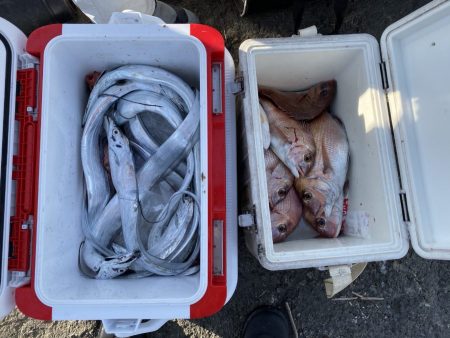 リトルワン 釣果