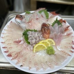 リトルワン 釣果