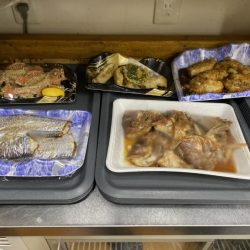 リトルワン 釣果