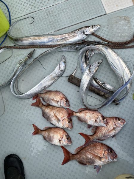 リトルワン 釣果