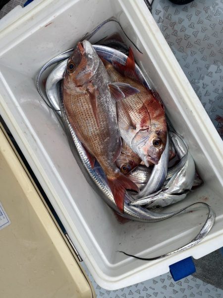 リトルワン 釣果