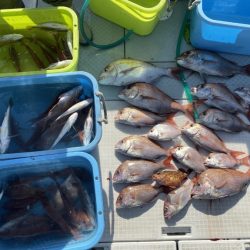 リトルワン 釣果