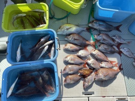 リトルワン 釣果