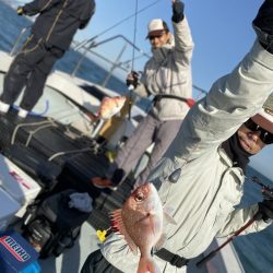 リトルワン 釣果