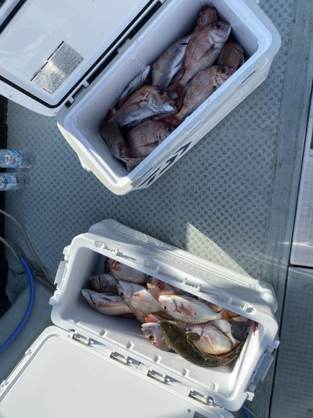 リトルワン 釣果