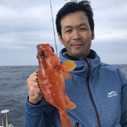 ブルーピア 釣果