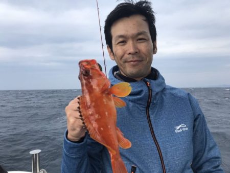 ブルーピア 釣果