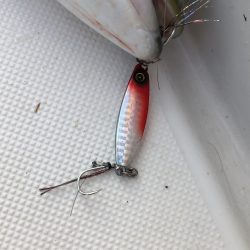 オフショアでもジャックアイグロッキーで連発！【ハヤブサ（Hayabusa）　ジャックアイグロッキー　インプレッション】