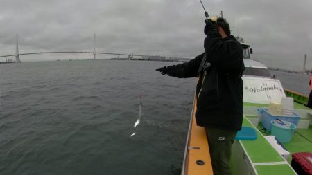 横浜沖タチウオジギングレポート【メガバス（Megabass）スラッシュビートシリーズ　インプレッション】