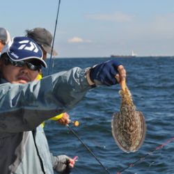 根岸丸 釣果