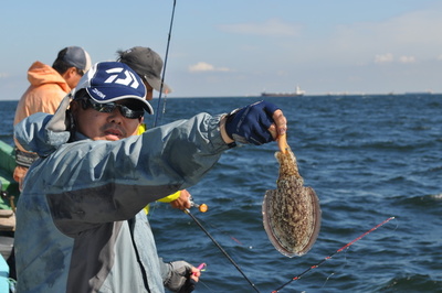 根岸丸 釣果
