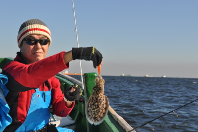 根岸丸 釣果