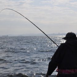 根岸丸 釣果