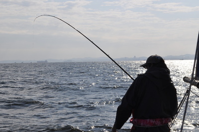 根岸丸 釣果