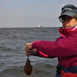 根岸丸 釣果