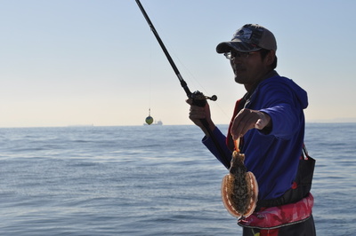 根岸丸 釣果